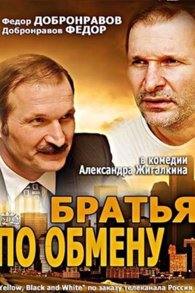 Братья по обмену