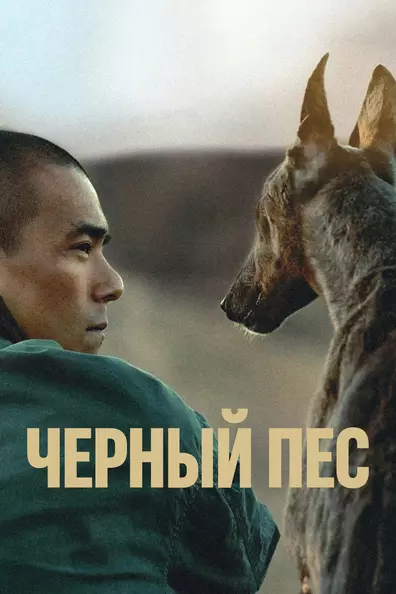 Чёрный пёс