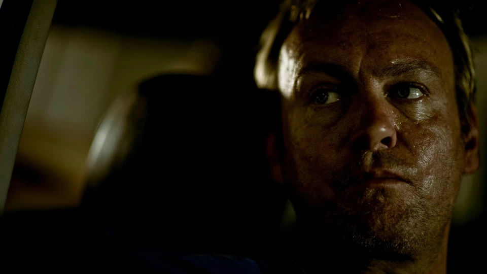 Бешеные псы