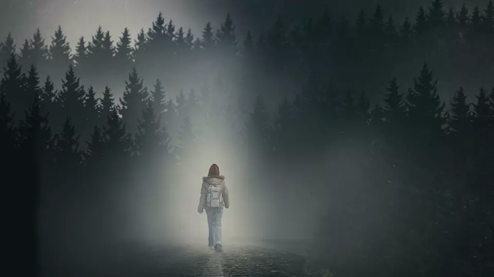 Девушка в тумане