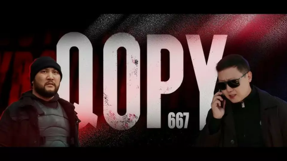 QOPY667