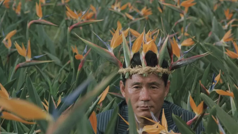 Точка Кипения