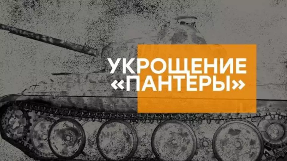Укрощение «Пантеры»