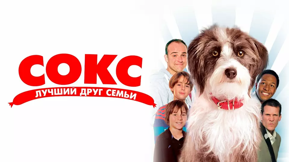 Sox: A Family's Best Friend