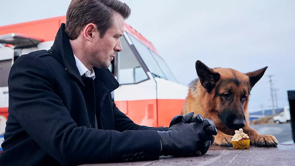 Хадсон и Рекс