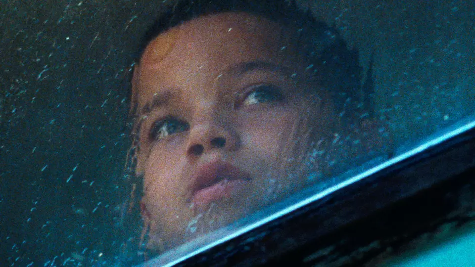 Мы, животные