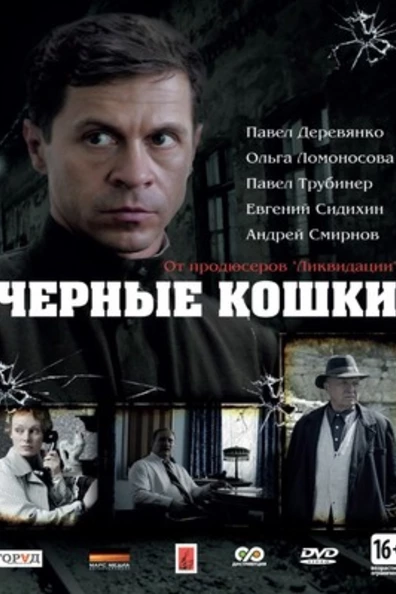 Черные кошки