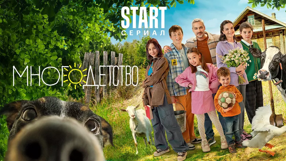 Многодетство