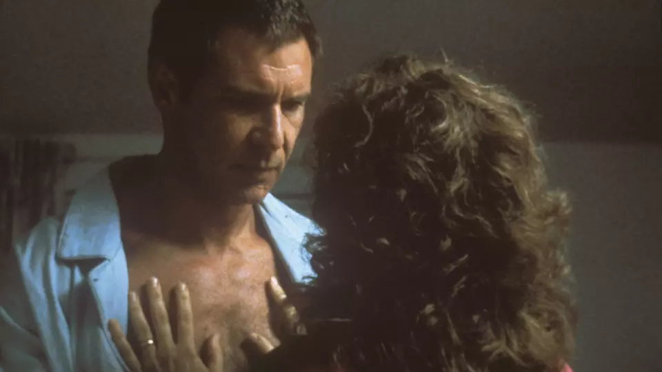 Презумпция невиновности