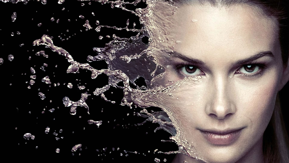 Stitchers
